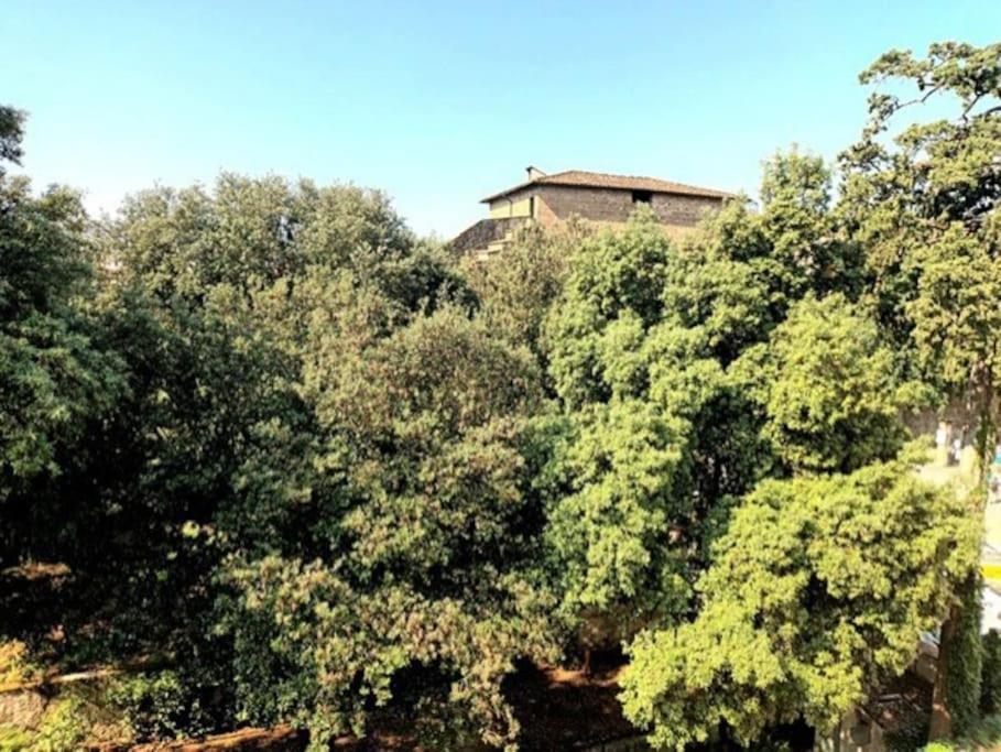 * * * * * Casa Vista Boboli Nel Cuore Di Firenze Zewnętrze zdjęcie